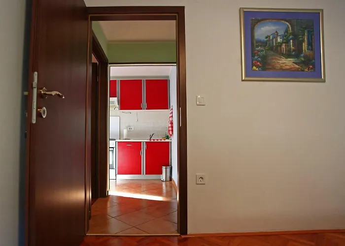 Marko 1 *