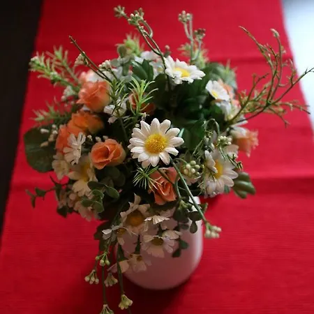 Διαμέρισμα Marko 1